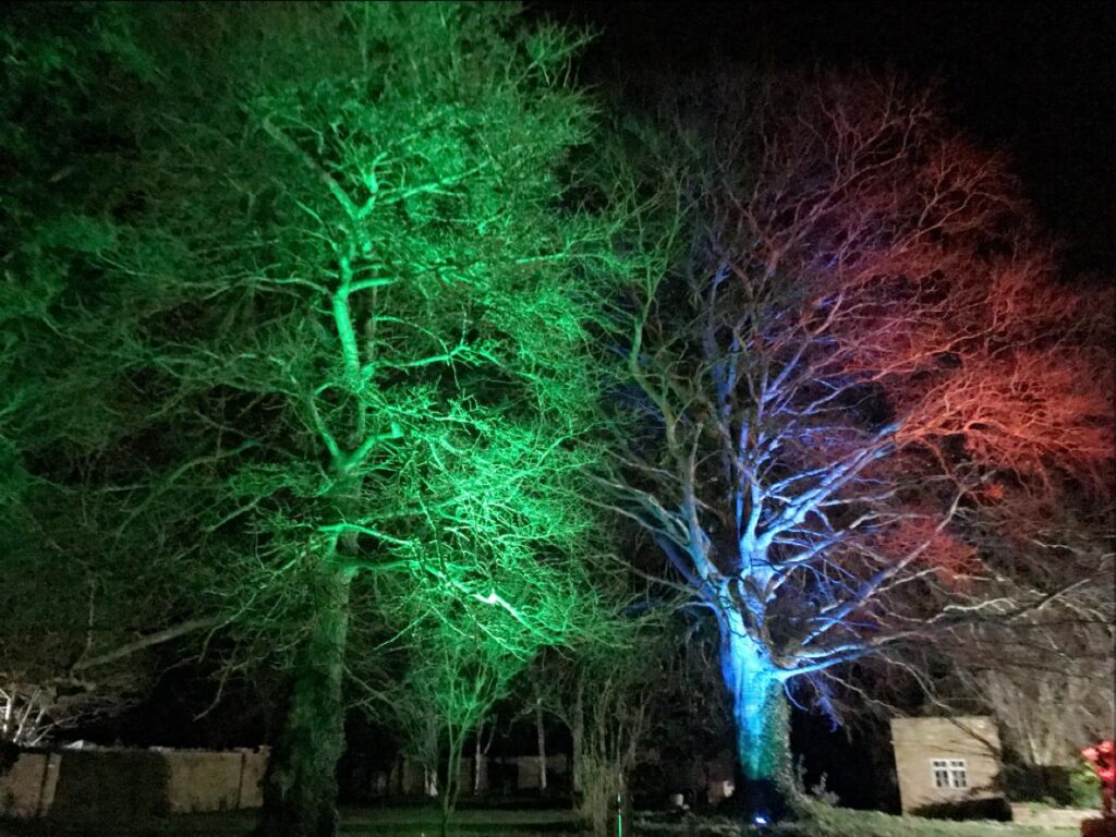 Company HQ lighting different colours in the garden lighting up the trees